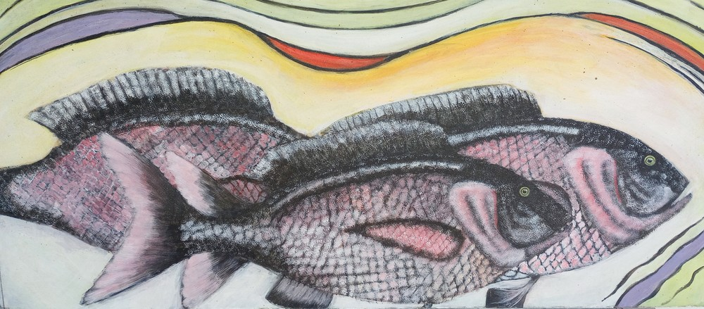Black Snapper