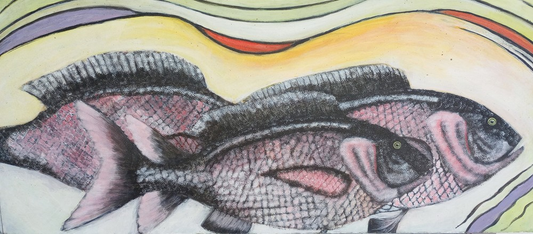 Black Snapper