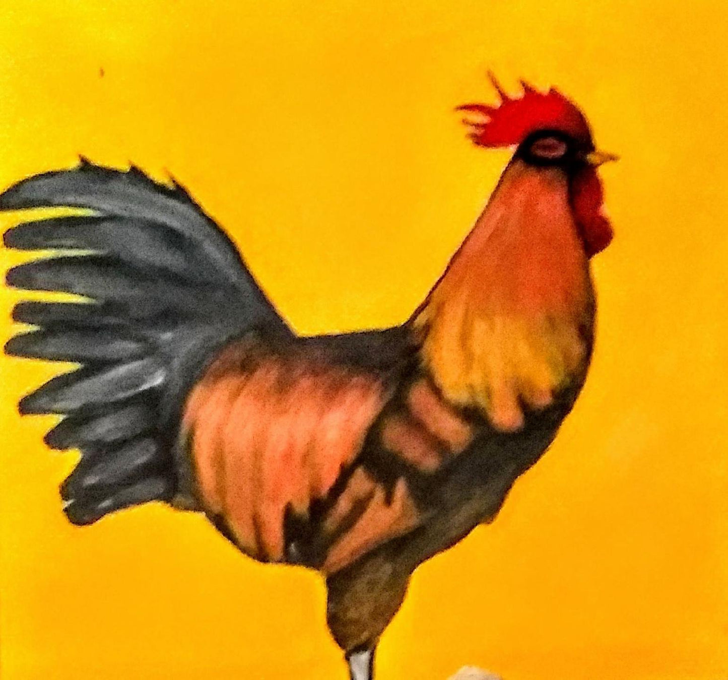 Rooster